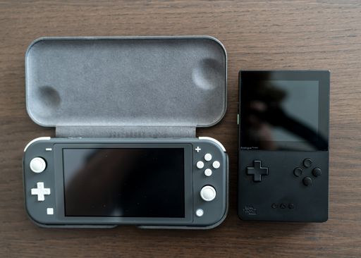 Switch Lite vs Analogue Pocket